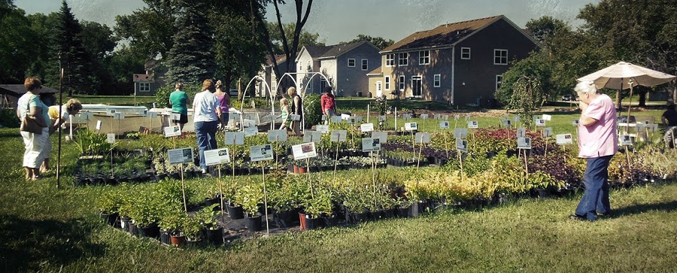 glen-ellyn-plant-nursery-visitors